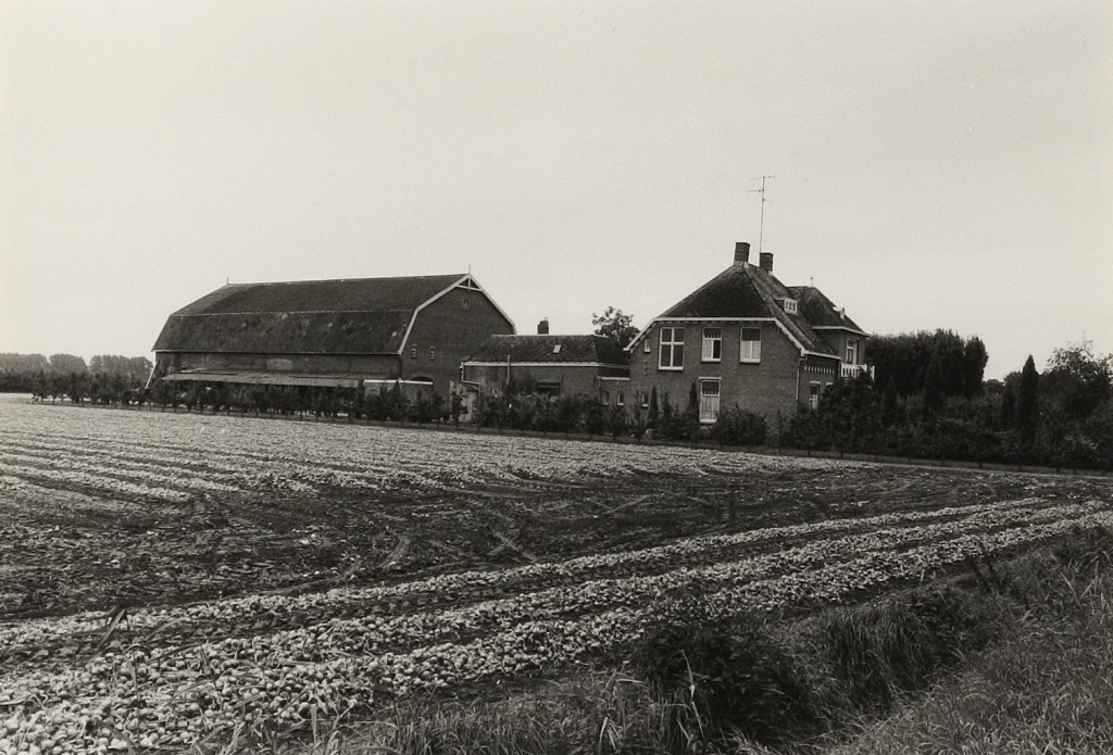 Afgeslechtedijk 8