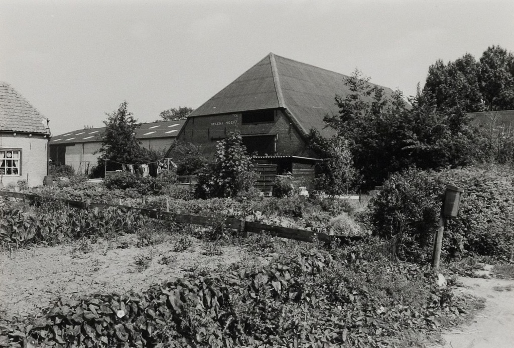 Dorpsweg 88