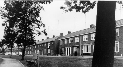 Zuidwal